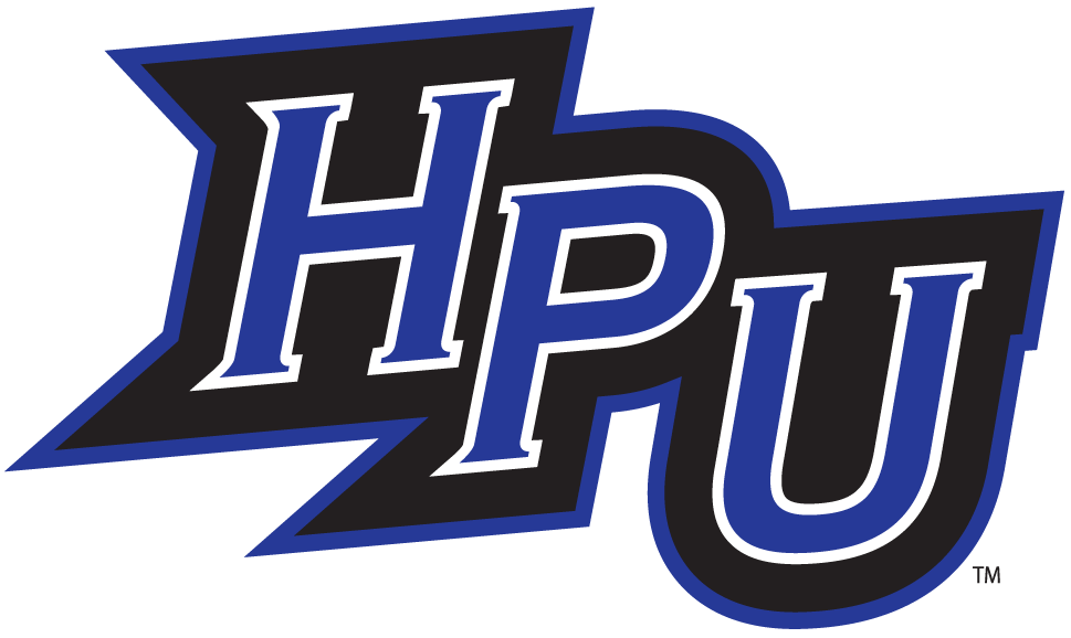 High Point Panthers 2004-2011 Alternate Logo v4 diy DTF decal sticker